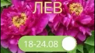 ЛЕВ таро прогноз на неделю 18-24 августа 2025
