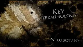 Learning the Lingo: Paleobotany | UGA Experimental Archaeology