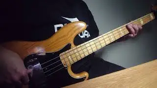Teddy Swims - The Door (Bass Cover)
