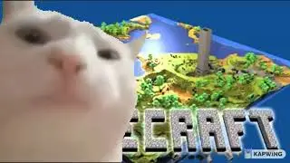 cat vibing to minecraft calm 1