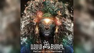 Liquid Bloom - Roots of The Earth (Hedflux Remix)
