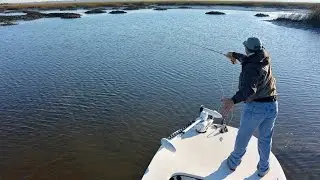 Fly Fishing the Oyster Flats