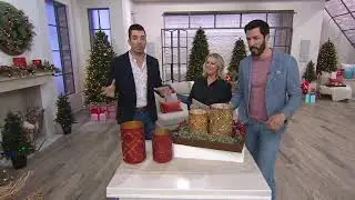 Scott Living Set of 2 Metal Luminaries with Microlights on QVC