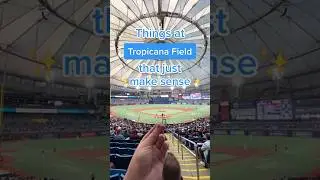 Things at Tropicana Field that just make sense #rays #mlb #baseball #ballpark