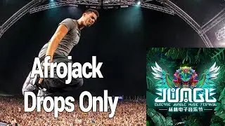 Afrojack @Electric Jungle Music Festival 2017   Drops Only