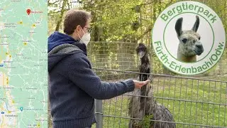 Statt Camping Reise: Familien-Tagesausflug in der Region: Bergtierpark F&uuml;rth