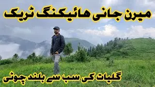 Miranjani Top || Highest Peak Of Galyat || #miranjani #miranjanitrek  #miranjaniTop || Lens Today