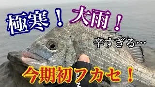 【25年12月】ふかせシーズンがやって来た！大雨の磯に挑む！