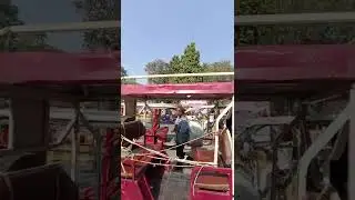 civil line Bus stand prayagraj ।। #prayagraj #civillineprayagraj #pryagraj