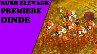 RUSH ELEVAGE - MES PREMI&Egrave;RES DRAGODINDE