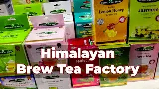 Himalayan Brew Tea Factory | FoodSant