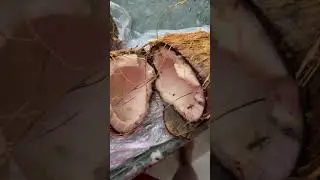 Swiggy reviews: Recd bad food | PissedConsumer.com