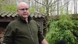 Hoe help je Egels in de tuin? - Egelsnelweg - Winterslaap Egels