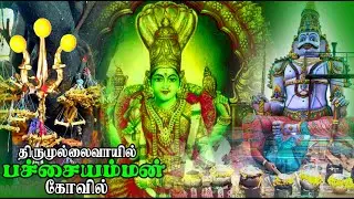 🙏🏻 திருமுல்லைவாயில் பச்சையம்மன் தரிசனம் 🙏🏻 | Route Guidance |  Pachaiamman Temple Thirumullaivoyal