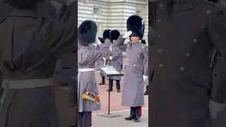 #changingoftheguard #buckinghampalace #london #londonlife