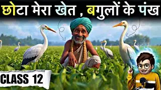 Chota Mera Khet aur Bagulo ke Pankh class12 / Animation / Hindi Aroh Chapter 10 / Summary 