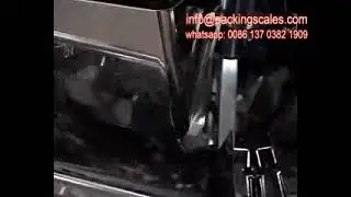 Ten head mini scale multihead weigher packing machine