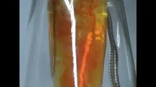 Meduse Pipe Review  - www.atomhamster.com