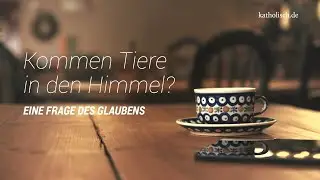 Kommen Tiere in den Himmel? Eine Frage des Glaubens