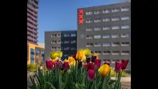 Tulp Festival Amsterdam 2025 Aftermovie