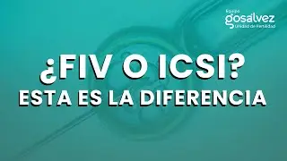 IVF or ICSI? This is the difference | Gos&aacute;lvez Team