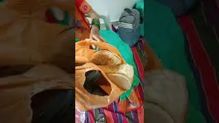 The Shoes Thief in Indian wedding