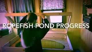 Ropefish pond progress