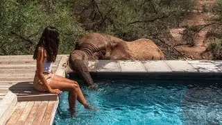CAPE TOWN WILDLIFE SAFARI: Inverdoorn Private Game Reserve🐘🦁