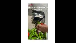 Chilli Cutting Machine  #slicing #kitchen #lifeisbutadream#foodprocessing  #viralvideo #fingerchips