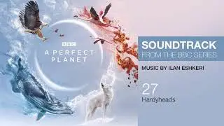 A Perfect Planet - Hardyheads (Soundtrack from the BBC Series)