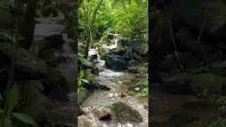 Margalla Hills Trail 5 Islamabad
