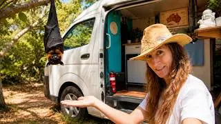 Flying Fox Bat Rescue | Saving Aussie Wildlife