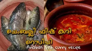 കായൽ മീൻ chemballi/kalladamutti/anabas fish curry recipe👌
