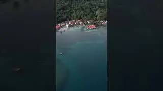 тропический остров центральная Америка великий остров Панама isla grande Panama