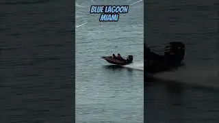 Speeding on Blue Lagoon MIAMI #shorts #new #thrill #new #action #boat