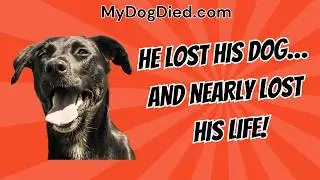 The Death of His Dog Broke Him&mdash;Then He Found Us - MyDogDied.com
