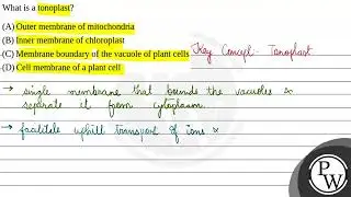What is a tonoplast?....