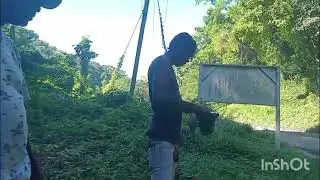 rebuilding location #bee #beekeeper #honeybee #try a thing#Jamaica beekeeping