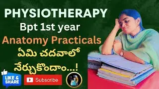 BPT 1st year Anatomy practicals|physiotherapy anatomy practicals preparation Tips#anatomy#education