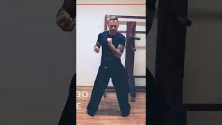 1st Form Wing Tsun Kung Fu #shorts