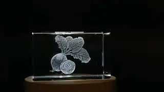 Beetroot 3D Engraved Unique Crystal Gift - FSKI51