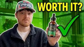 Organic MULLEIN Drops REVIEW