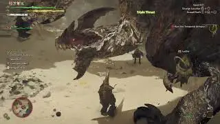 CRASH | 8*3 Tempered Seregios | XX' XX