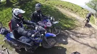 Taffy Dakar 2018 by Crazy Poles credit to Rob