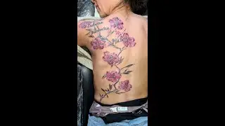 Flower - Tattoo Time Lapse