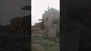 Chandi Bhata plant