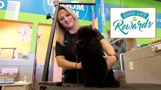 Pet Evolution - Good Life Rewards