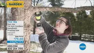 Sun Joe 24Volt Cordless Handheld Pruning Saw