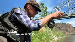 MOUCHE ET TOC