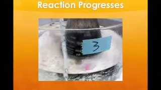 Thermal Polypeptides/ Proteinoids/ Synthesis
